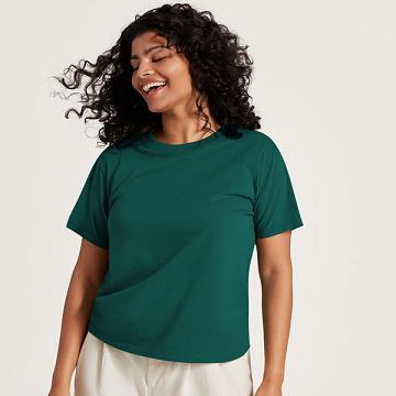 Allbirds Allgood Bomull T-skjorte Dame Turkis | NO4748VD