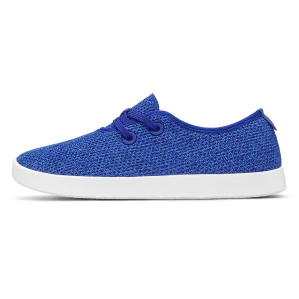 Allbirds Tree Skippers Joggesko Herre Blå | NO4014EX